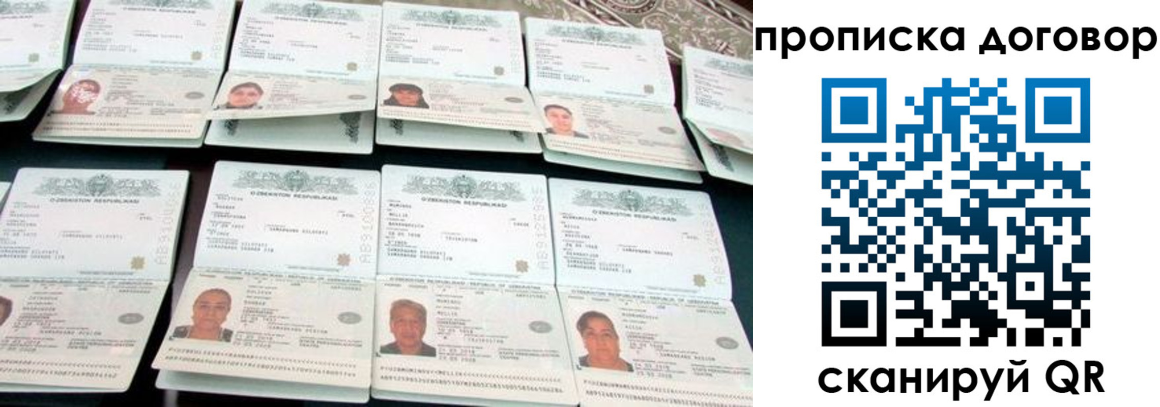 прописка для школы в Полярных Зорях